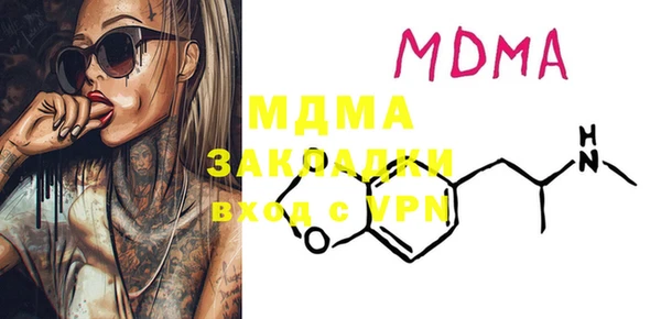индика Каменка