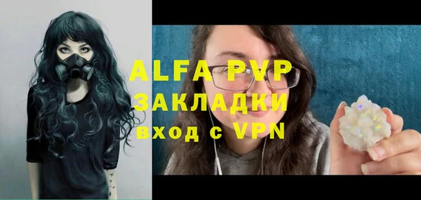 индика Каменка