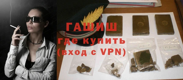 индика Каменка