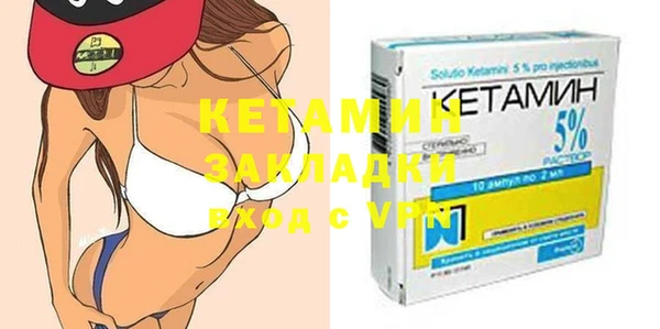 индика Каменка