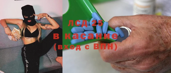 индика Каменка
