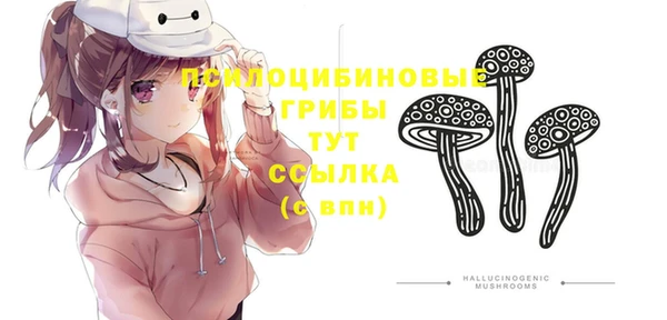 индика Каменка