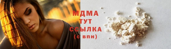 индика Каменка