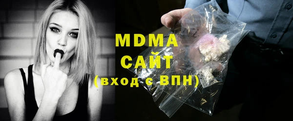 индика Каменка