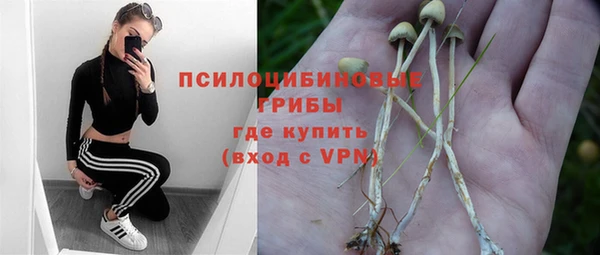 индика Каменка