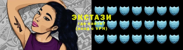 индика Каменка
