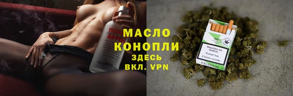 индика Каменка