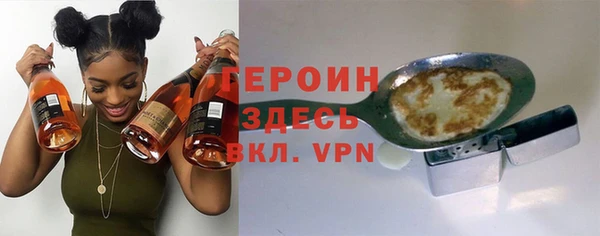 индика Каменка
