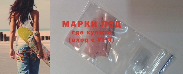 индика Каменка