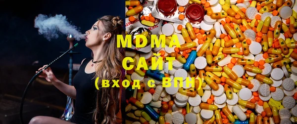 индика Каменка
