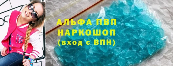 индика Каменка
