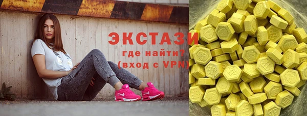 индика Каменка