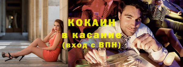 индика Каменка