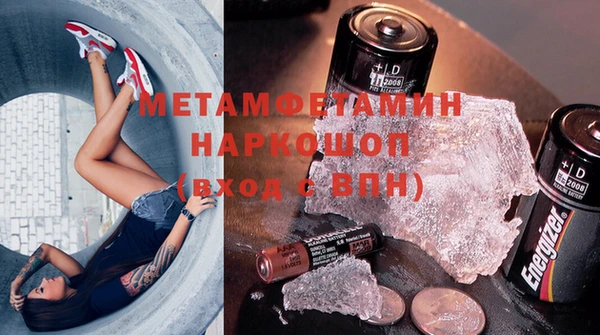 индика Каменка
