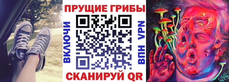 Псилоцибиновые грибы GOLDEN TEACHER  Купить закладки  Богданович 